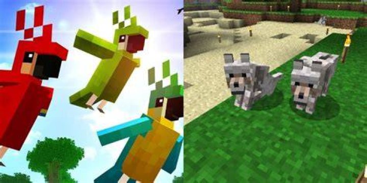 How to capture animals in minecraft