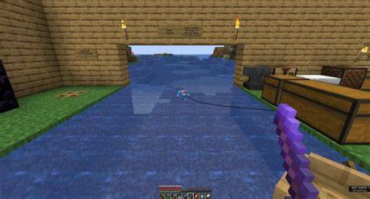 How to capture fish in minecraft