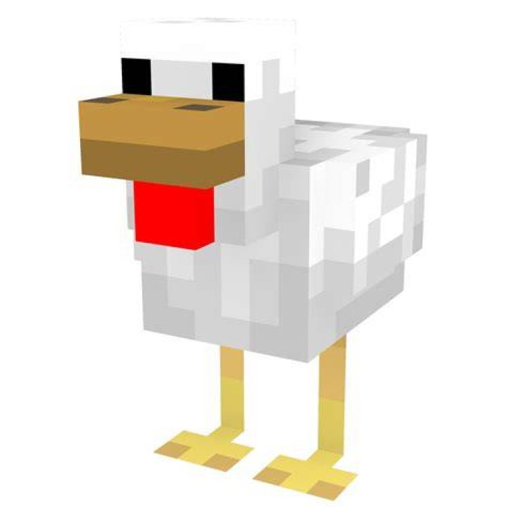 How to catch a chicken in minecraft