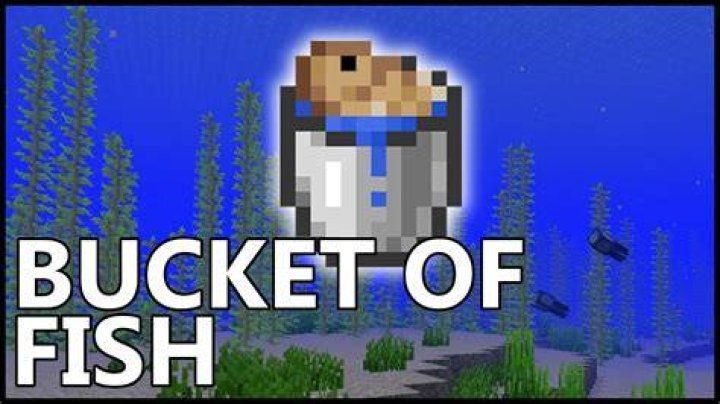 How to catch a fish in minecraft