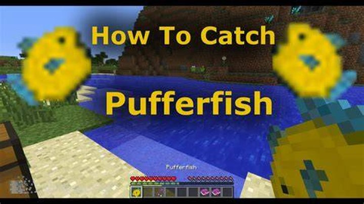 How to catch a pufferfish in minecraft
