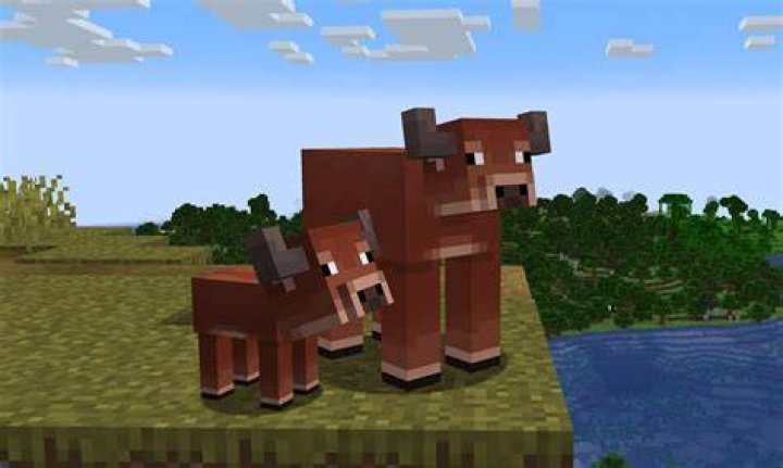 How to catch cows in minecraft