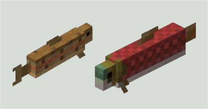 How to catch salmon in minecraft