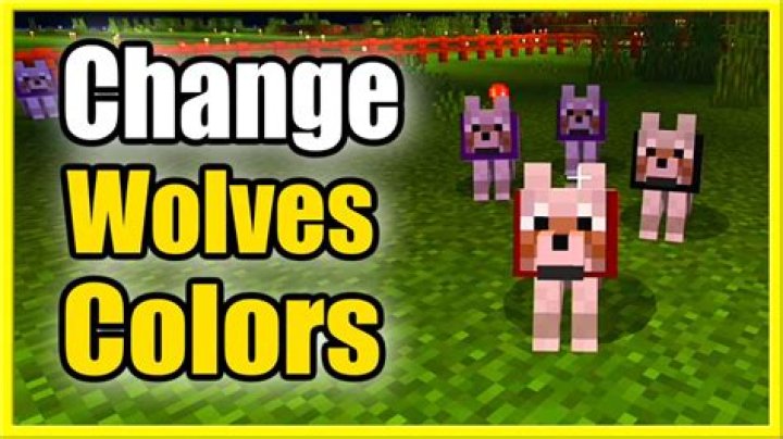 How to change collar color in minecraft