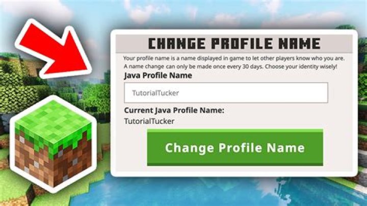 How to change name in minecraft pe