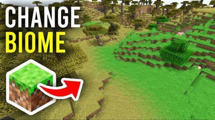 How to change the biome in minecraft