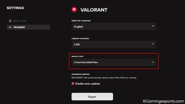 How to change valorant download location