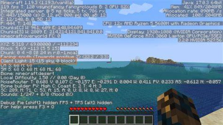 How to check level in minecraft