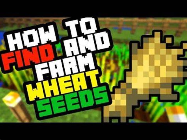 How to collect wheat in minecraft