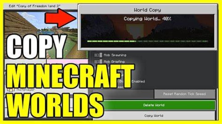 How to copy a world in minecraft