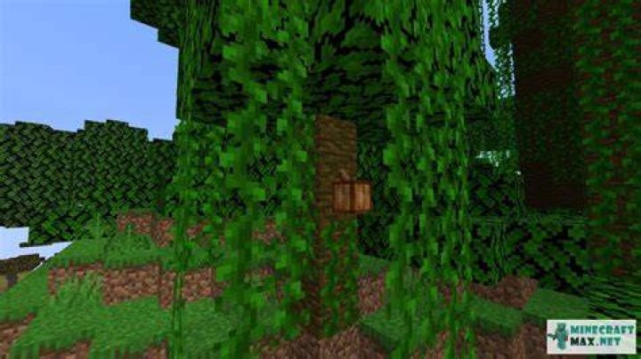 How to craft vines in minecraft