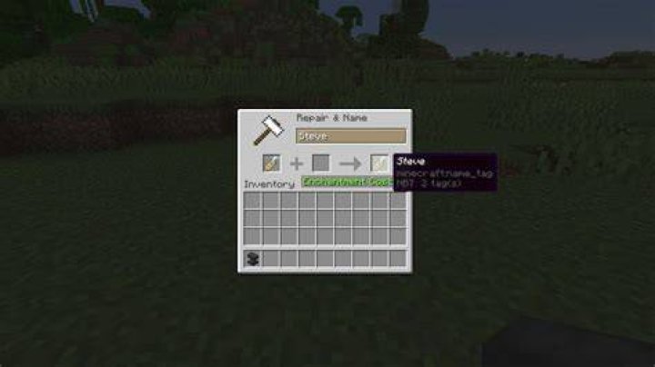 How to disable name tags in minecraft