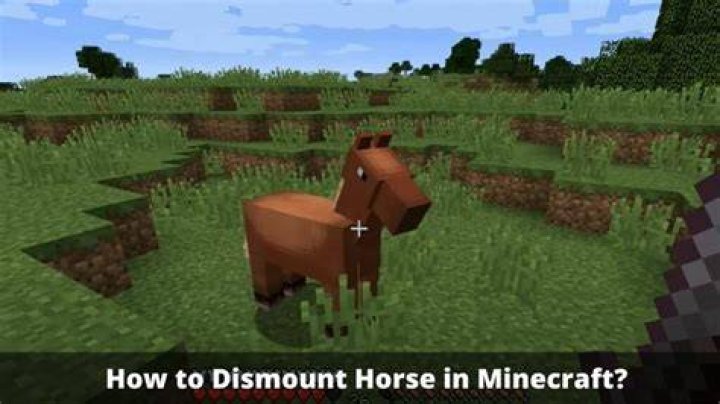 How to dismount a horse in minecraft
