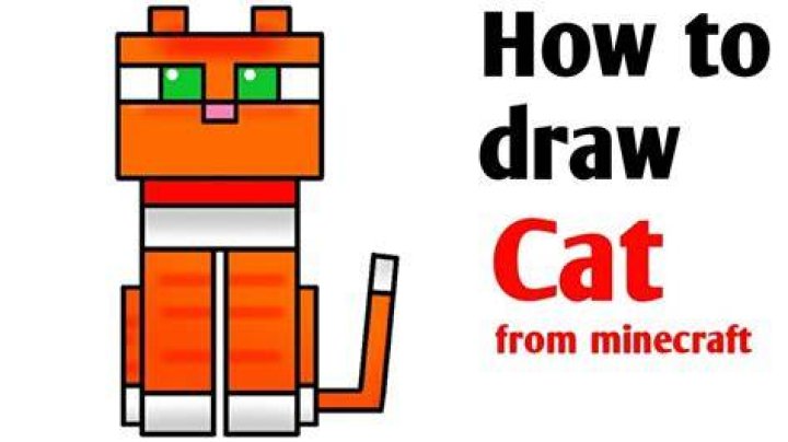 How to draw a minecraft cat