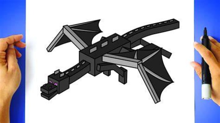 How to draw a minecraft ender dragon