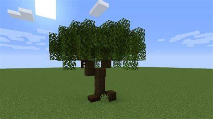 How to draw a minecraft tree