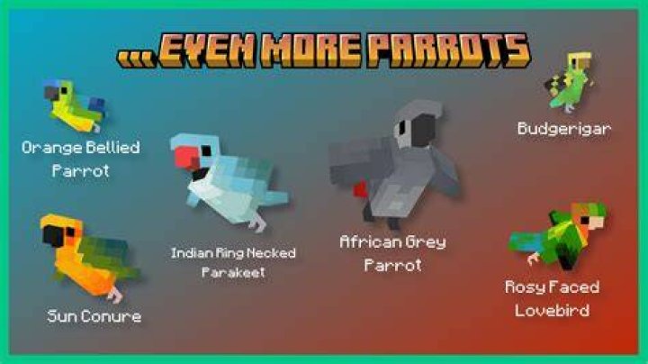 How to drop parrots in minecraft