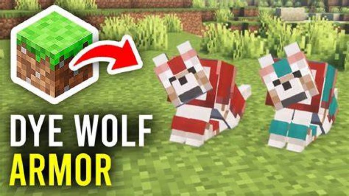 How to dye a wolf in minecraft