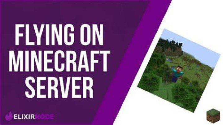 How to enable flying in minecraft server