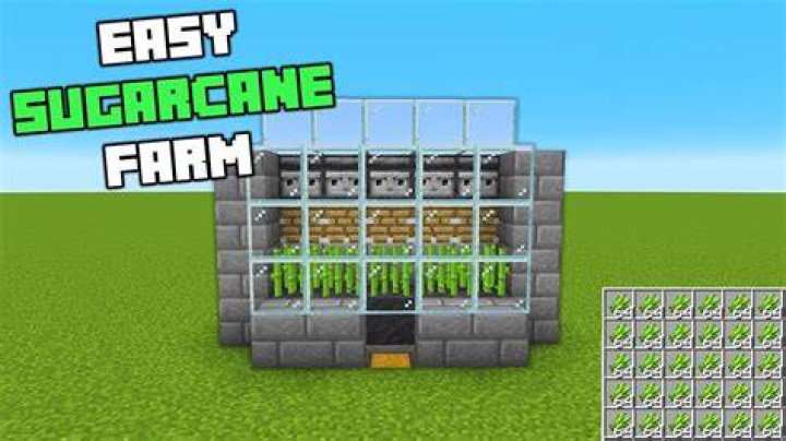 How to farm sugarcane in minecraft