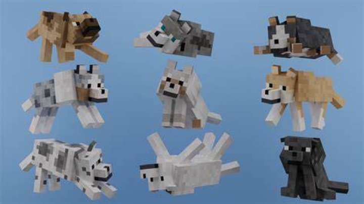 How to feed a dog in minecraft