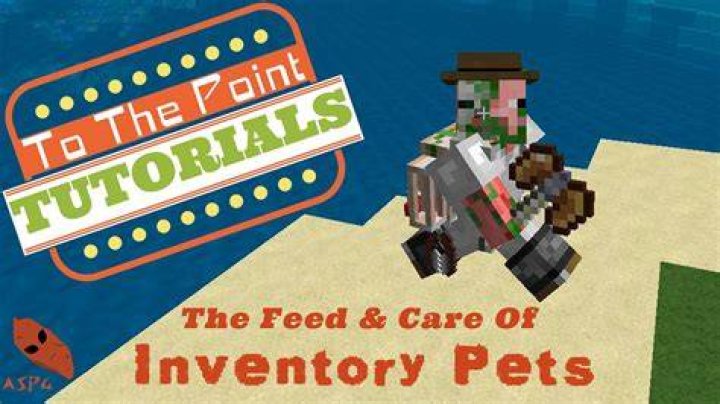 How to feed pets in minecraft