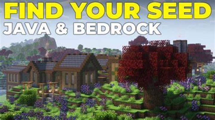 How to figure out minecraft seed