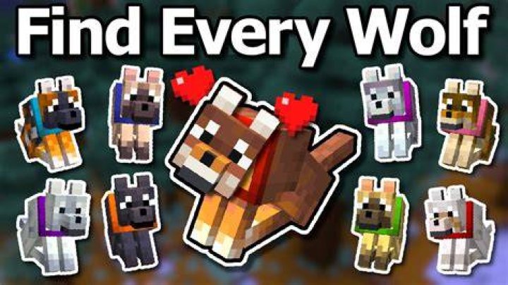 How to find a wolf in minecraft