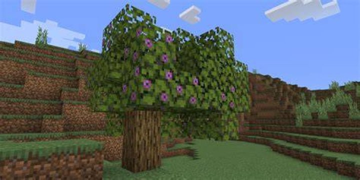 How to find azalea trees in minecraft