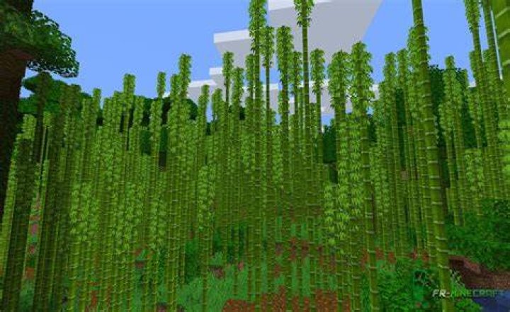 How to find bamboo forest in minecraft