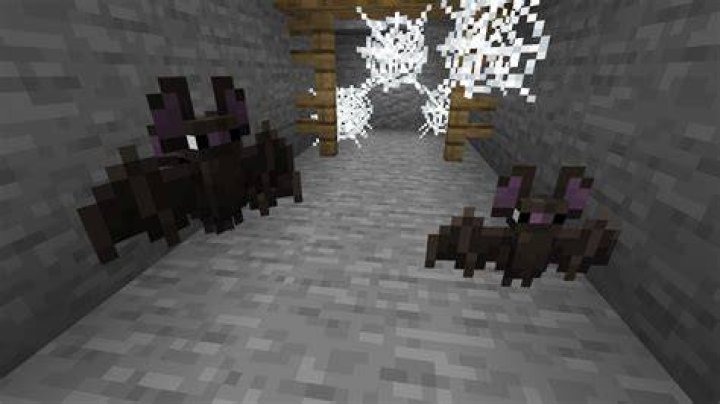 How to find bats in minecraft