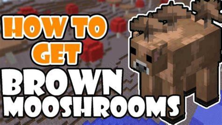 How to find brown mushrooms in minecraft