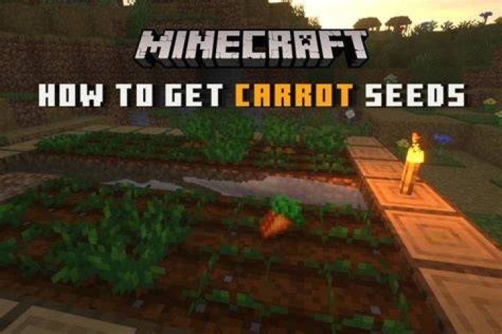 How to find carrot seeds in minecraft