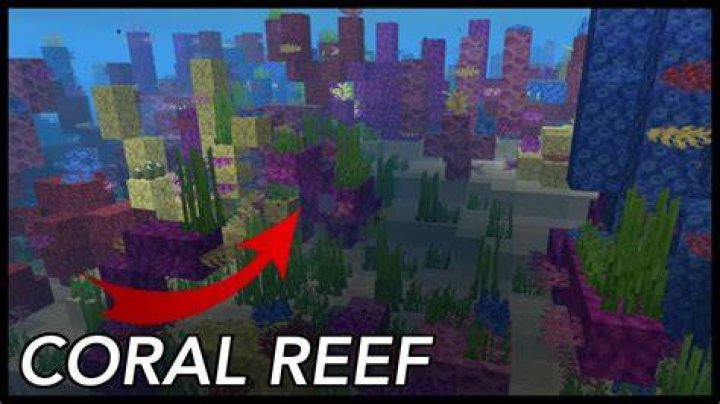 How to find coral reef in minecraft
