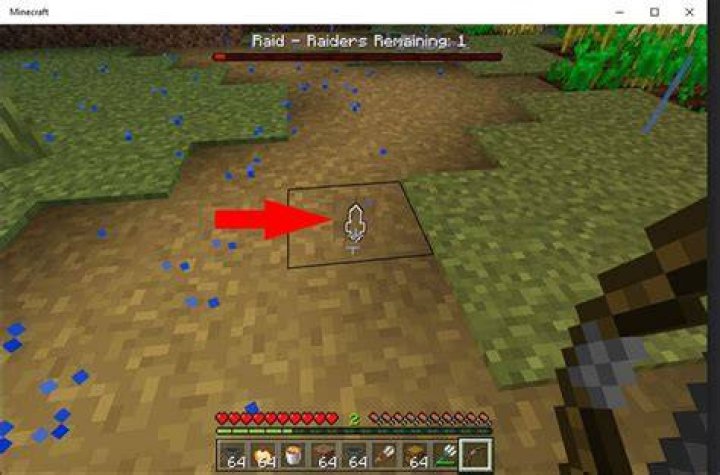 How to find last raider minecraft