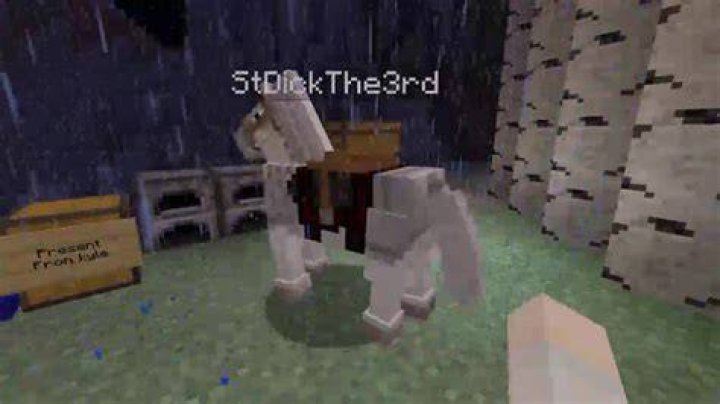 How to find lost horse in minecraft