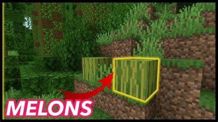 How to find melon in minecraft