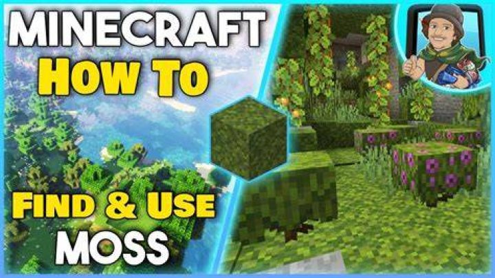 How to find moss in minecraft 1.17