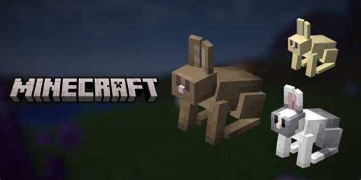 How to find rabbits in minecraft