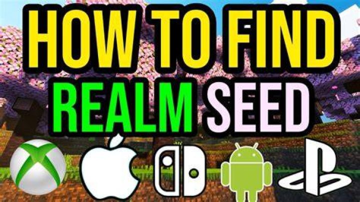 How to find seed of minecraft realm