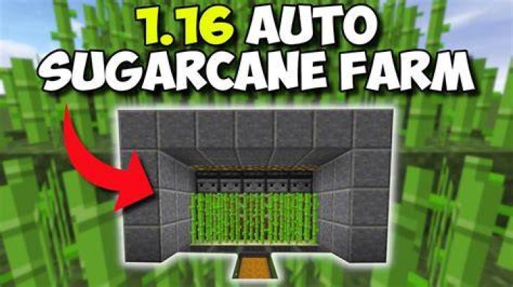 How to find sugarcane in minecraft