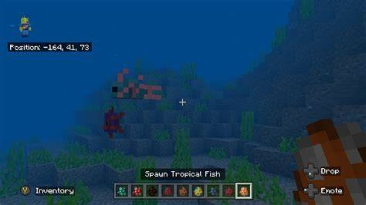 How to find tropical fish in minecraft