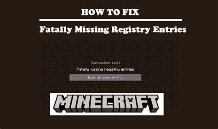 How to fix missing registries in minecraft