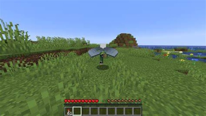 How to fly down in minecraft java