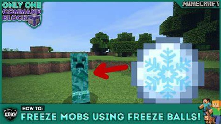 How to freeze mobs in minecraft