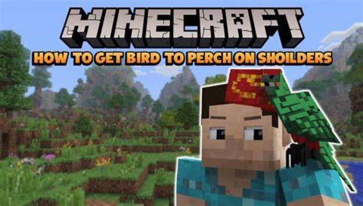 How to get a bird in minecraft