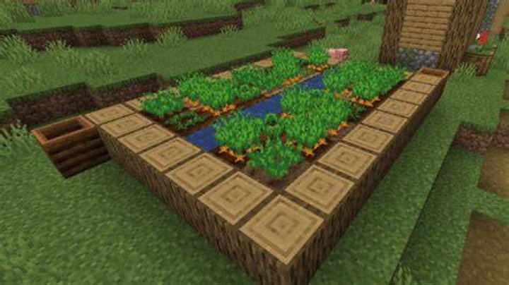 How to get a carrot in minecraft