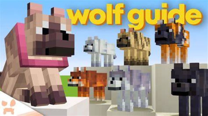How to get a dog in minecraft
