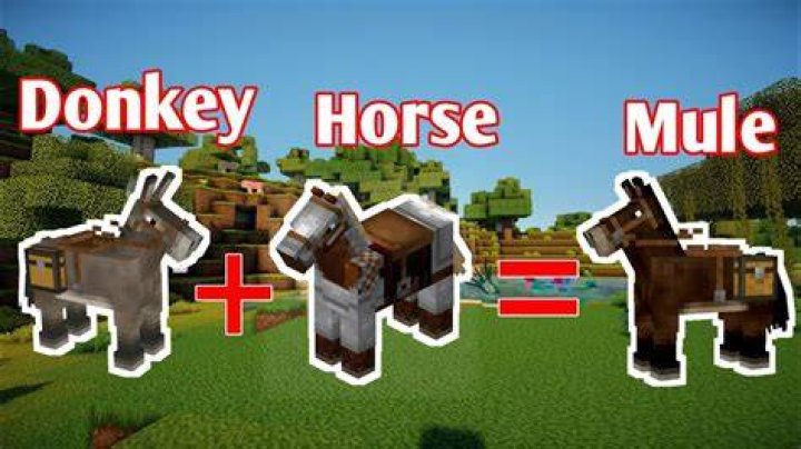 How to get a mule in minecraft