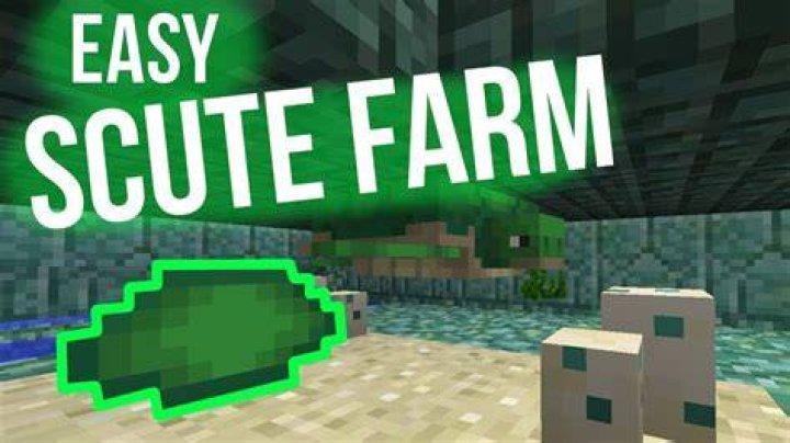 How to get a scute in minecraft